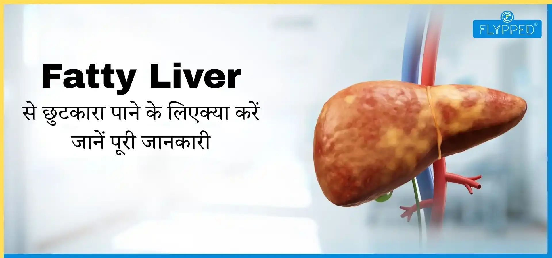 Fatty Liver Ka Ilaj: फैटी लिवर से छुटकारा पाने के लिए क्या करें? जानें पूरी जानकारी