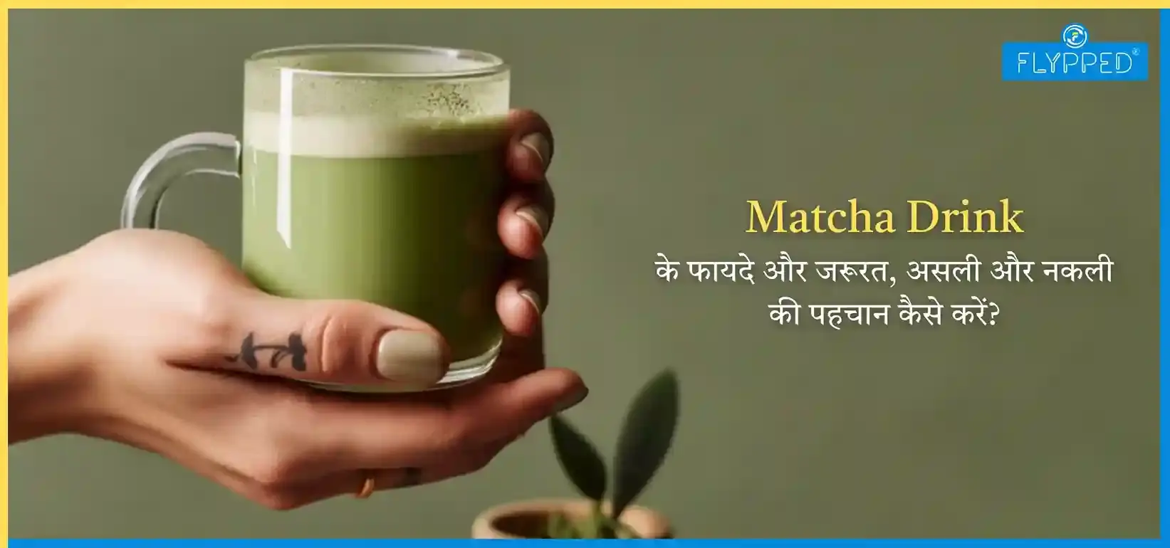 ‘Matcha Drink’ के फायदे और जरूरत, असली और नकली की पहचान कैसे करें?