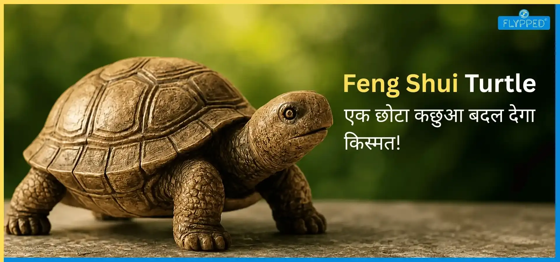 Feng Shui Turtle in Hindi: एक छोटा सा कछुआ बदल देगा आपकी किस्मत! सच या भ्रम?