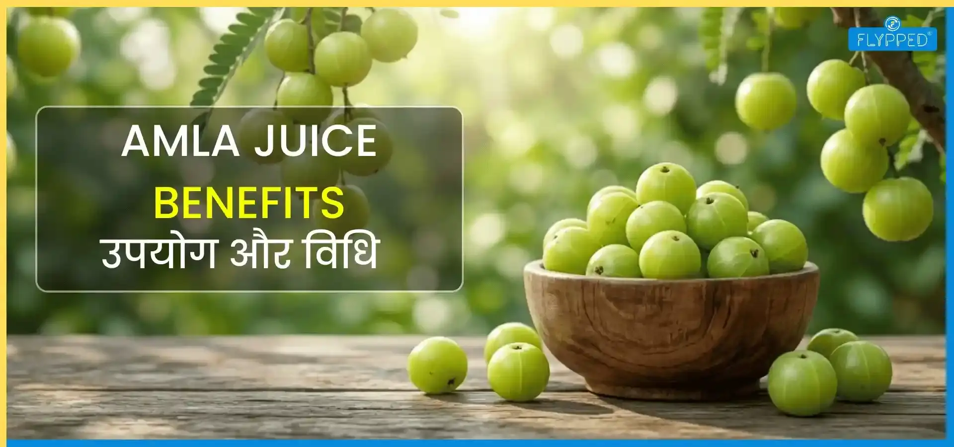 Amla Juice Benefits in Hindi: आंवला जूस पीने के फायदे, उपयोग और बनाने का सही तरीका जानें