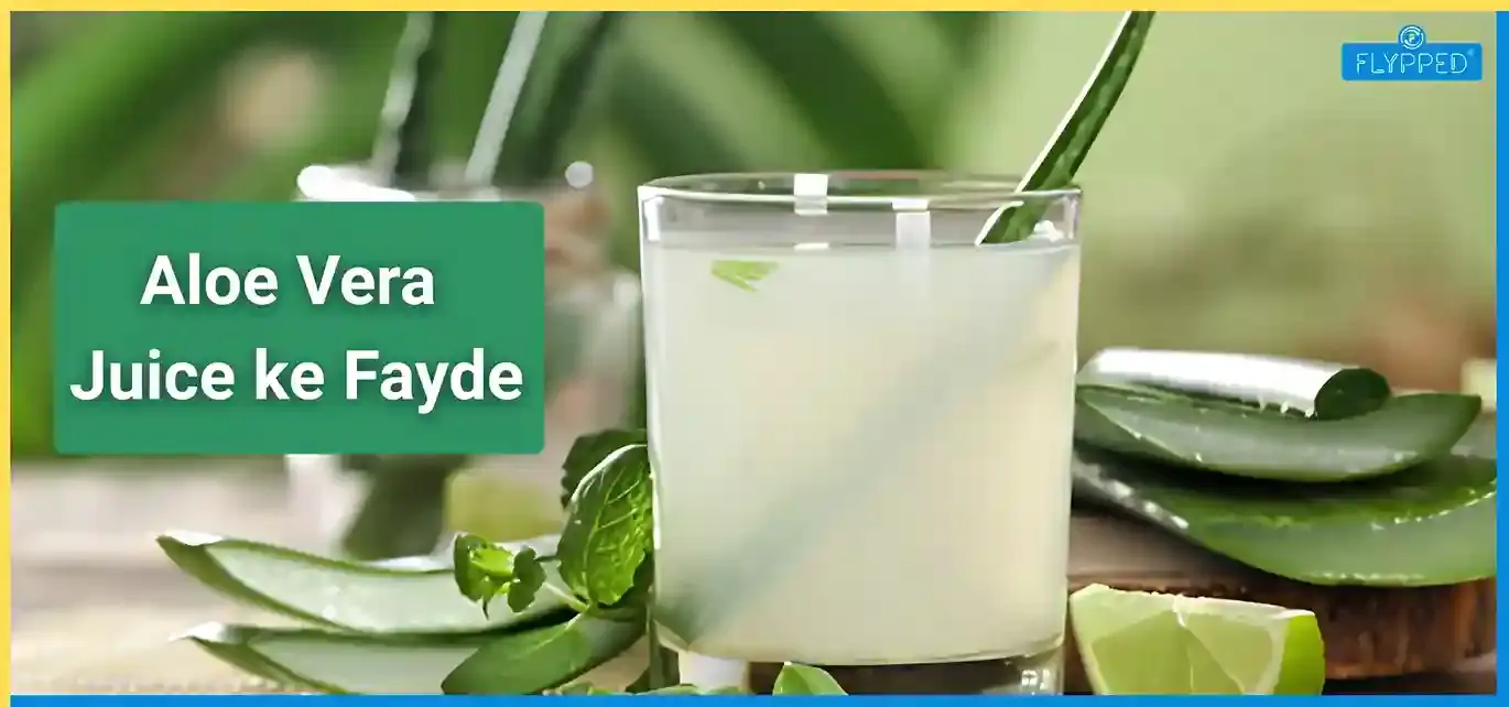 Aloe Vera Juice ke Fayde: एलोवेरा जूस के फायदे, उपयोग और बनाने का सही तरीका जानें