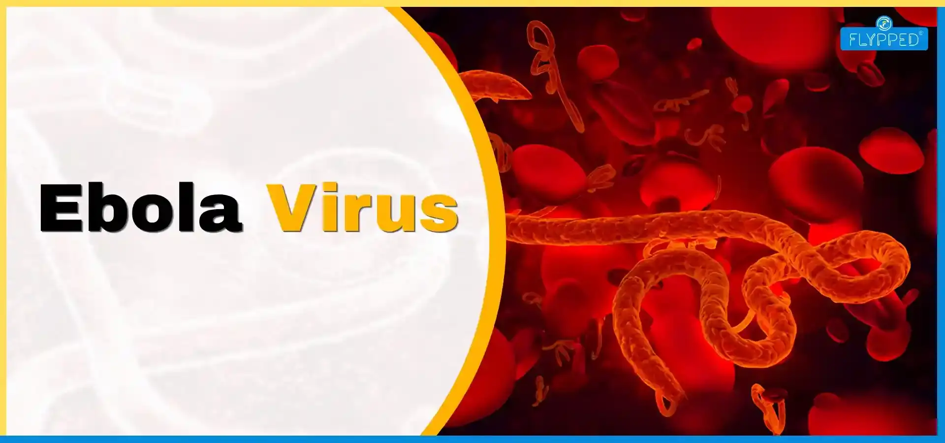 Ebola Virus in Hindi: इबोला वायरस क्या है? जानें लक्षण, कारण, उपचार और बचाव की पूरी जानकारी